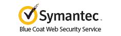 blue coat web security